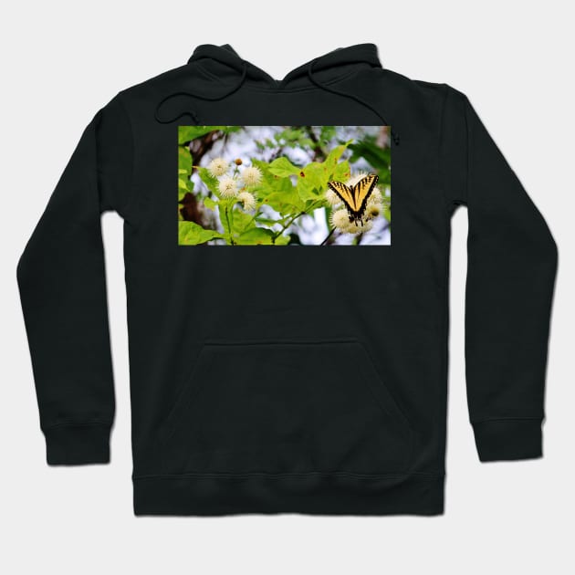 Butterfly On Buttonbush Hoodie by Cynthia48